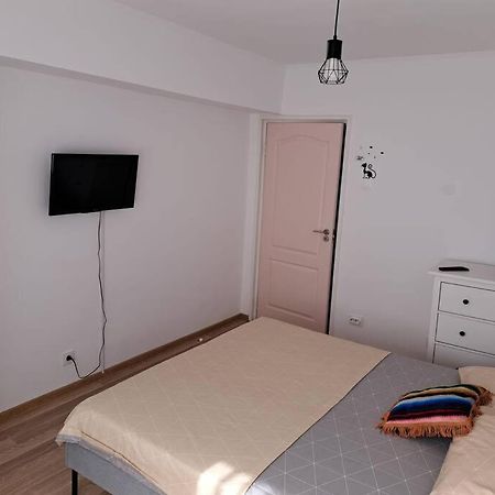 Apartament Titulescu/Banu Manta Apartment Bucharest Luaran gambar