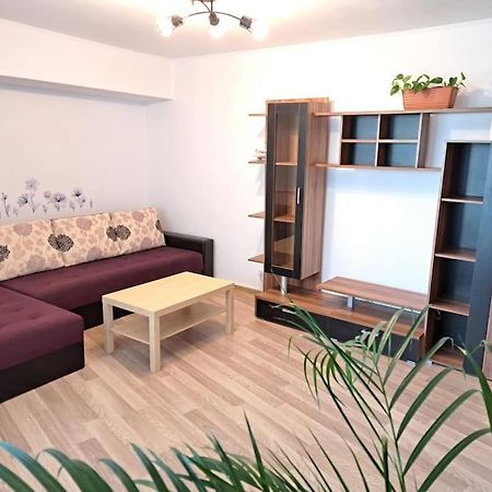 Apartament Titulescu/Banu Manta Apartment Bucharest Luaran gambar