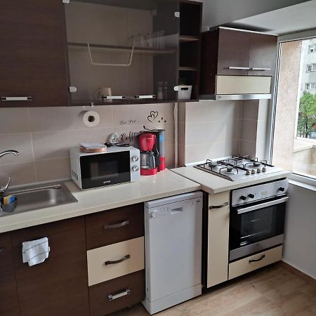 Apartament Titulescu/Banu Manta Apartment Bucharest Luaran gambar