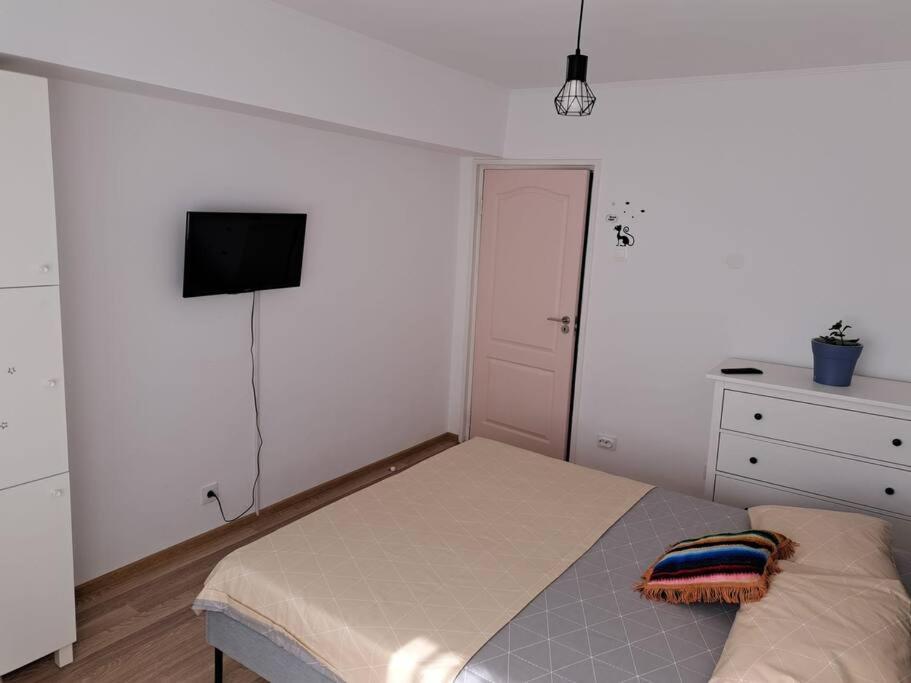 Apartament Titulescu/Banu Manta Apartment Bucharest Luaran gambar